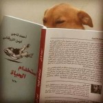 وائل عشري يكتب: “وسّع خيالك”.. ذباب القانون وذباب الأدب